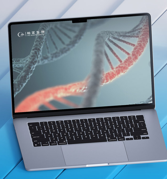 柏定生物工程（北京）有限公司官网建设