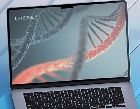 柏定生物工程（北京）有限公司官网建设